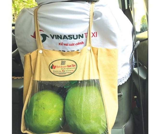 800 tài xế taxi Vinasun bán bưởi do 'sếp' trồng