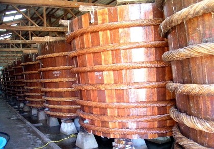 Ba người nguy kịch vì ngộ độc khí trong hầm mắm