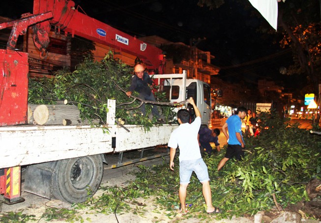 Nha Trang: Cổ thụ bật gốc làm 1 phụ nữ đi xe máy bất tỉnh