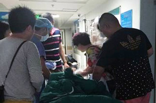 Nghịch chuồng hổ, bé hai tuổi bị cắn gần đứt lìa cánh tay