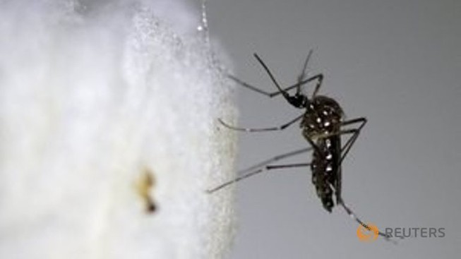 Trung Quốc đứng trước nguy cơ lan truyền virus Zika