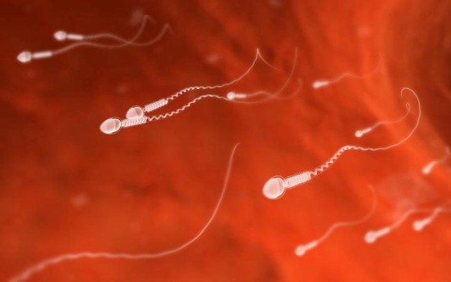 Tây Ban Nha tạo được tinh trùng từ tế bào da người