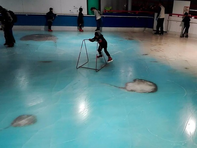 Công viên Nhật chôn sống 5.000 con cá dưới sân băng