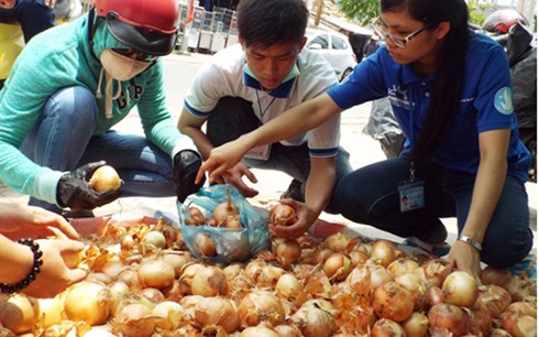 'Giải cứu' hành tây giúp nông dân Đà Lạt