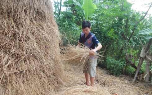 Thí sinh có điểm thi đại học cao nhất nước là người khuyết tật