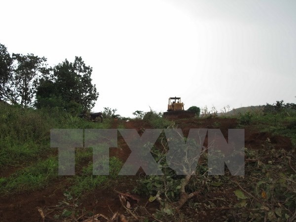 Vụ nổ súng ở Đắk Nông: Thêm 2 nghi can đầu thú
