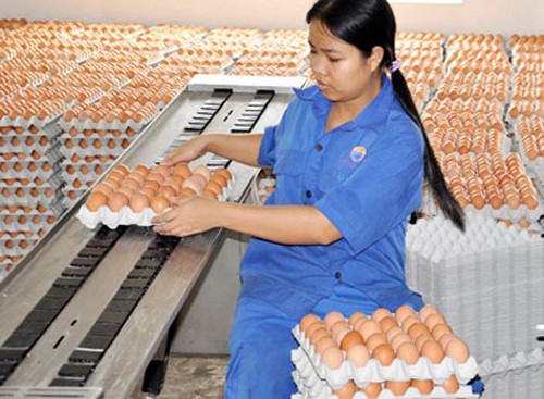 Hội trường cười ồ với quy định 'đếm trứng thu phí'