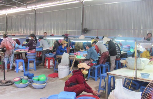 Tỉnh ủy Phú Yên vào cuộc vụ vợ bí thư huyện cho thuê đất trái phép