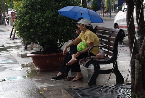 Lắp đặt băng ghế trên phố đi bộ Nguyễn Huệ