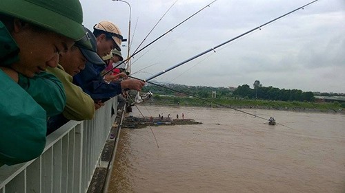 Đổ xô đi câu hàng trăm tấn cá bị sổng trên sông Kinh Thầy