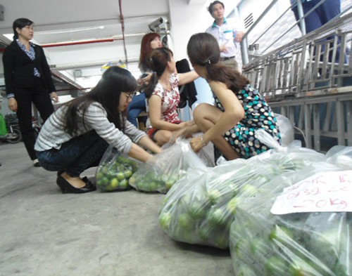 Doanh nghiệp gom hơn 4 tấn chanh ế phát không cho dân