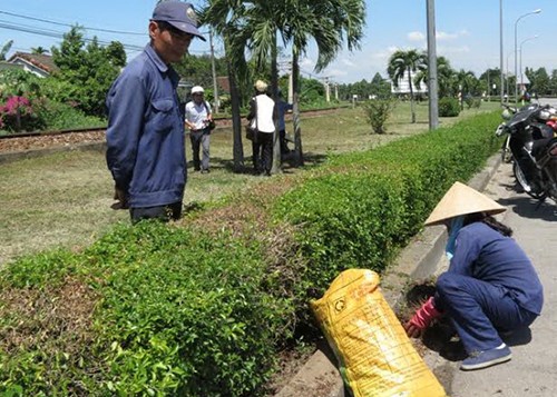 Chè tàu ở công viên bị đầu độc bằng muối