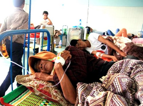 Ăn thịt bò tại đám cưới, gần trăm người nhập viện
