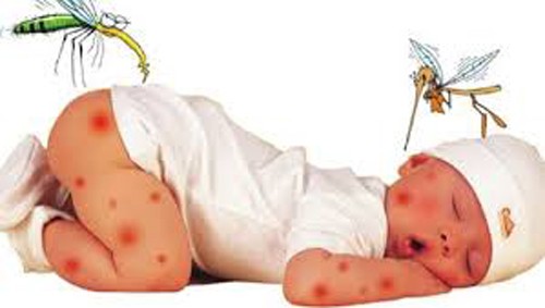 Việt Nam sắp có vaccine phòng sốt xuất huyết
