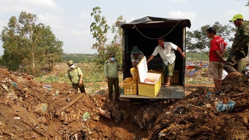 Mang hơn 700 kg thịt heo, đà điểu đi chôn