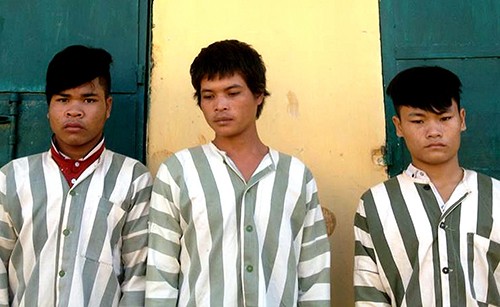 Đuổi người ra khỏi nhà cướp chim, bắt chó