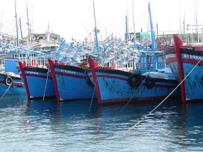 Giấc mơ ra khơi đã thành hiện thực