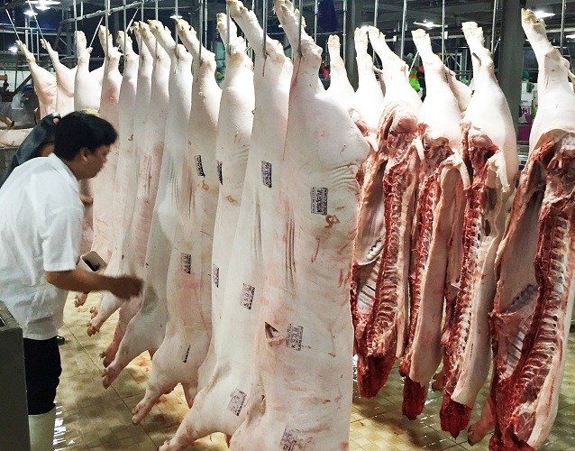 Tết này đỡ lo thịt bò bơm nước, heo có chất cấm