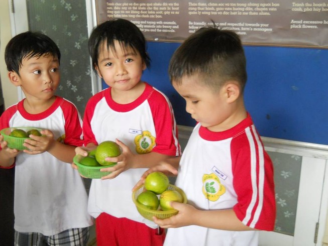 Ngộ nghĩnh bé mầm non tập làm nông dân