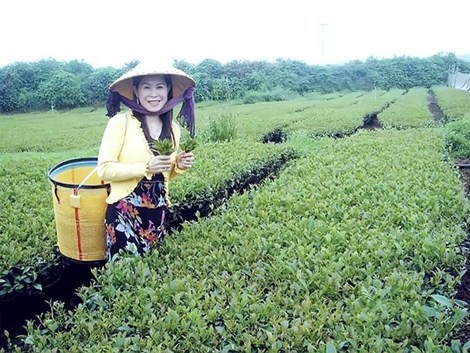 Thi thể doanh nhân Hà Linh chưa được đưa về nước