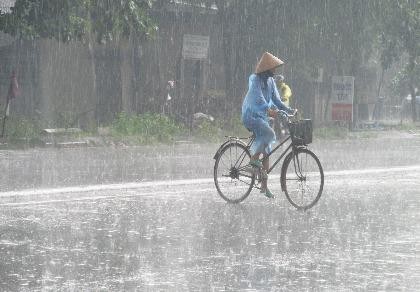 Kiếm ăn trong mưa...