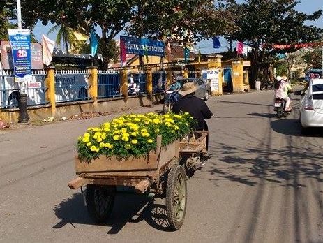 Chùm ảnh: Miền Trung muôn nẻo đường xuân