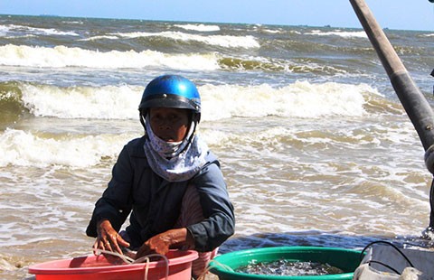 ‘Bà Sa cứu nạn’