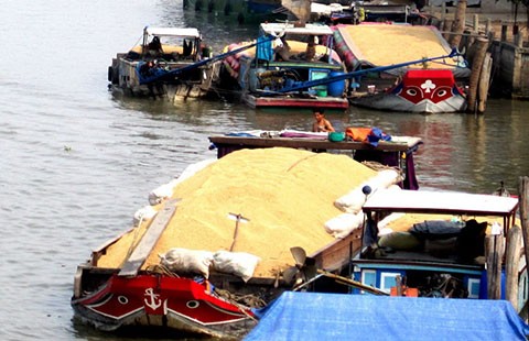 Gạo Việt Nam: Giá rẻ vẫn khó bán