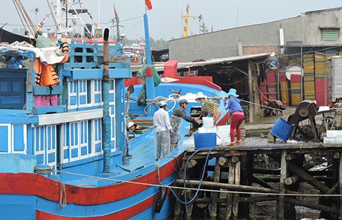 Được mùa, rớt giá, ngư dân lại khốn khó