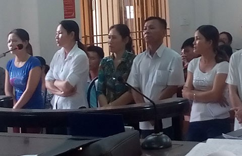Đề nghị hủy án vụ tám người bị tù vì chặt 12 cây tràm