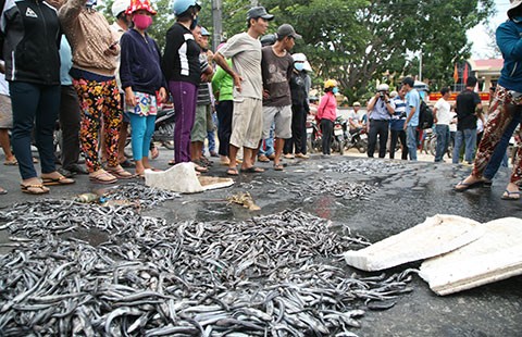 Không để ‘chặn quốc lộ’ thành tiền lệ