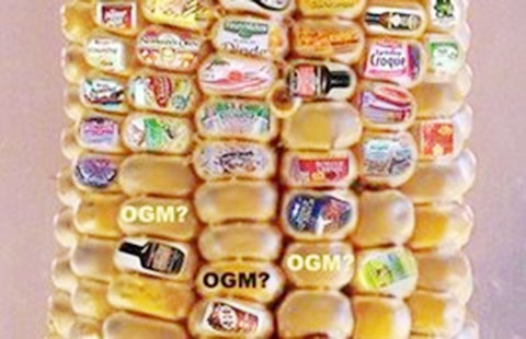Bao giờ dán nhãn thực phẩm biến đổi gien?