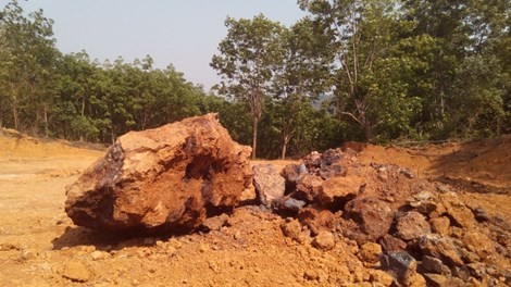 Xử phạt năm người Trung Quốc hành nghề không phép