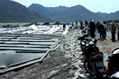 Sẽ xem xét kỷ luật những cá nhân để xảy ra vi phạm