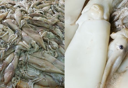 ‘Chế biến’ hai tấn mực thối để đưa vào nhà hàng