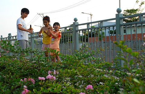 ‘Giải cứu’ những dòng kênh