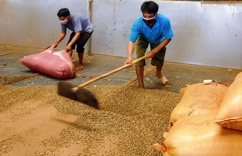Xóa bỏ nạn bán đổ, bán tháo nông sản