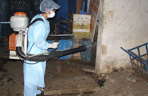 Phạt tiền để ngừa sốt xuất huyết