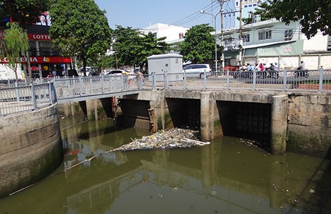 Cá chết do kênh Nhiêu Lộc - Thị Nghè quá ô nhiễm