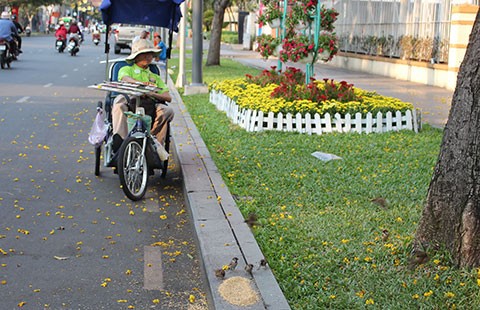 Người đàn ông bầu bạn với chim sẻ
