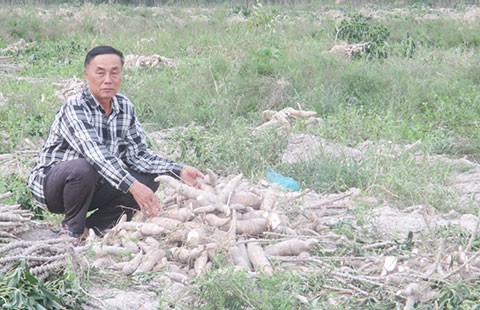 Thuê đường đi 10 ngày 100 triệu đồng!