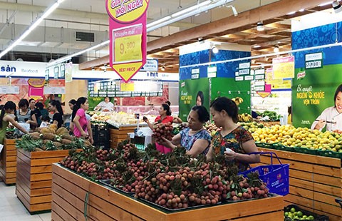 Đầu ra cho trái vải: Vẫn loay hoay