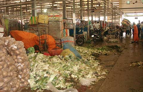 Quản lý chất thải hữu cơ cho TP.HCM
