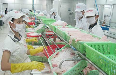 Tôm, cá xuất khẩu rớt giá