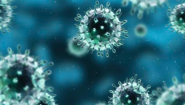Ngăn virus chết người vào Việt Nam