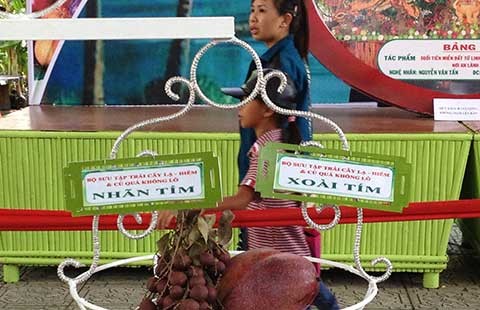 Trái cây, hoa quả lạ hút người dùng