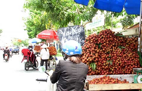 10 kg khoai không mua được tô phở