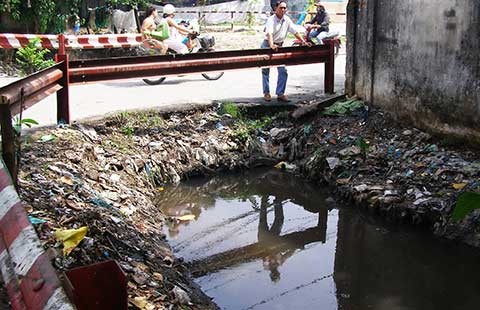 Chế tài tổ chức, cá nhân không tham gia diệt lăng quăng