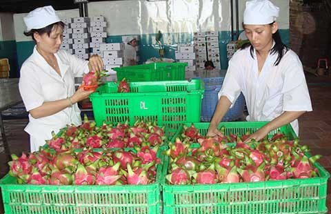 Trung Quốc muốn mua nông sản Việt Nam qua sàn