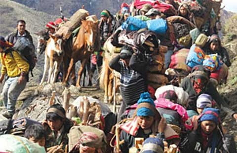 Săn ‘Đông trùng hạ thảo’ ở Nepal